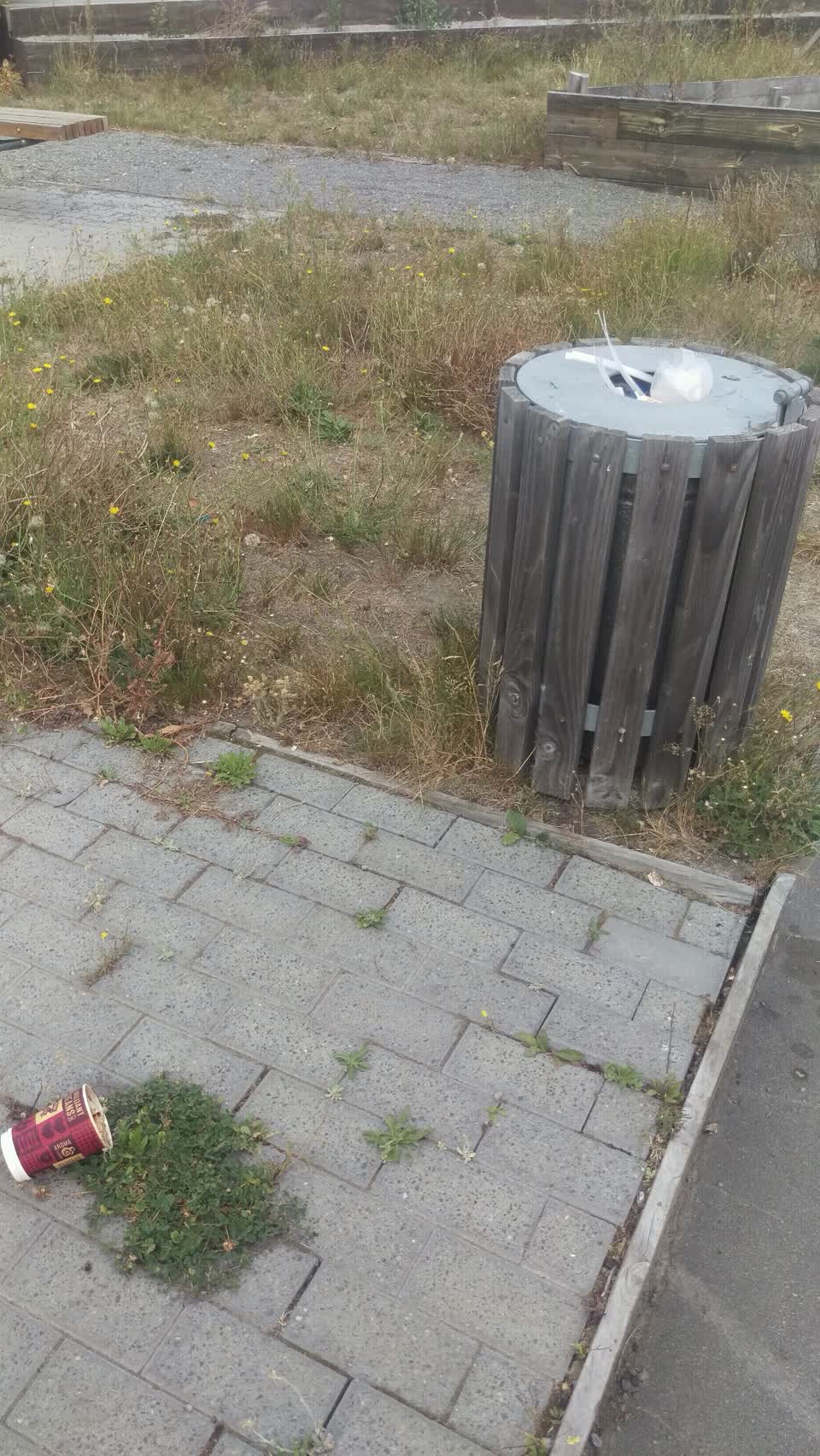The photograph attached to this rubbish/recycling report