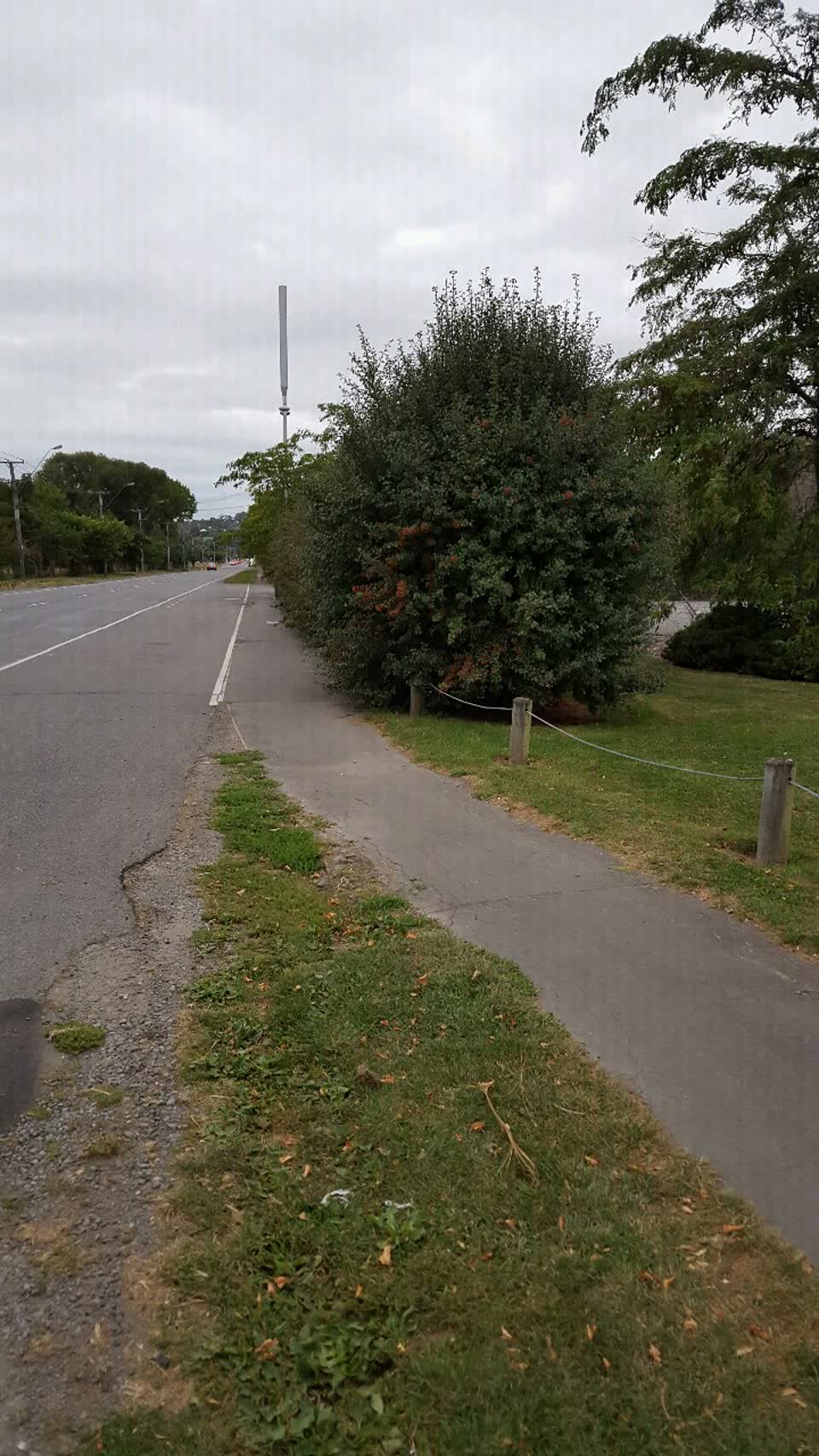 The photograph attached to this parks report