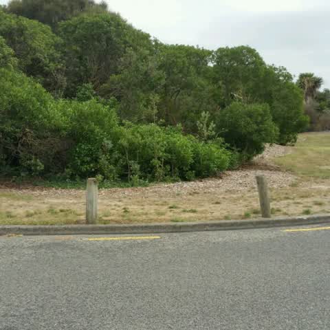 Parks, a report photo