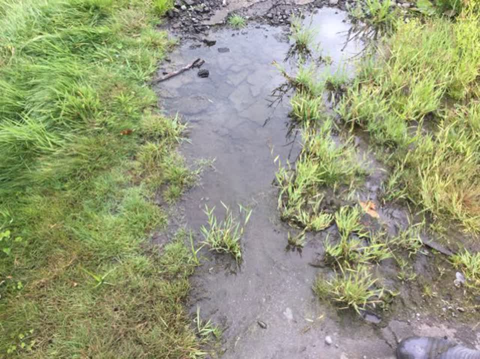 The photograph attached to this water supply report