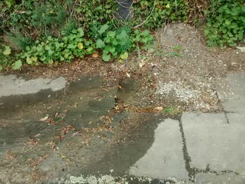 Water Supply, a report photo