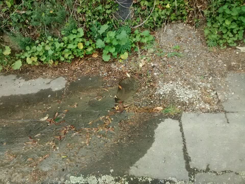 The photograph attached to this water supply report