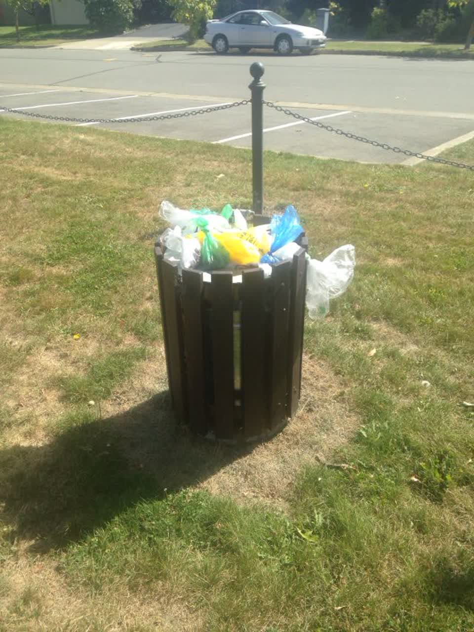 The photograph attached to this parks report