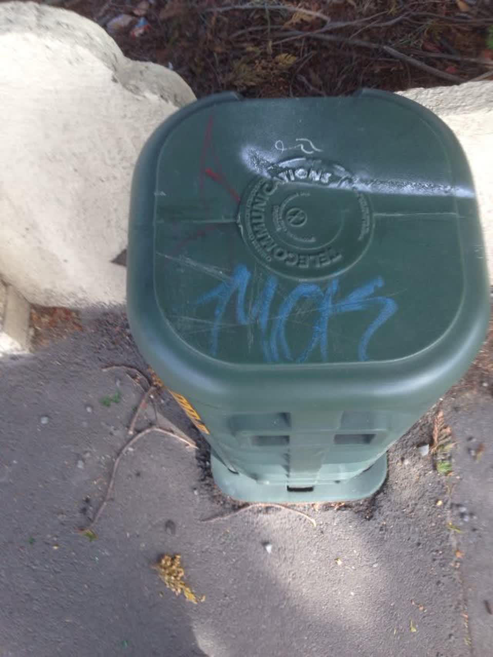 The photograph attached to this graffiti report