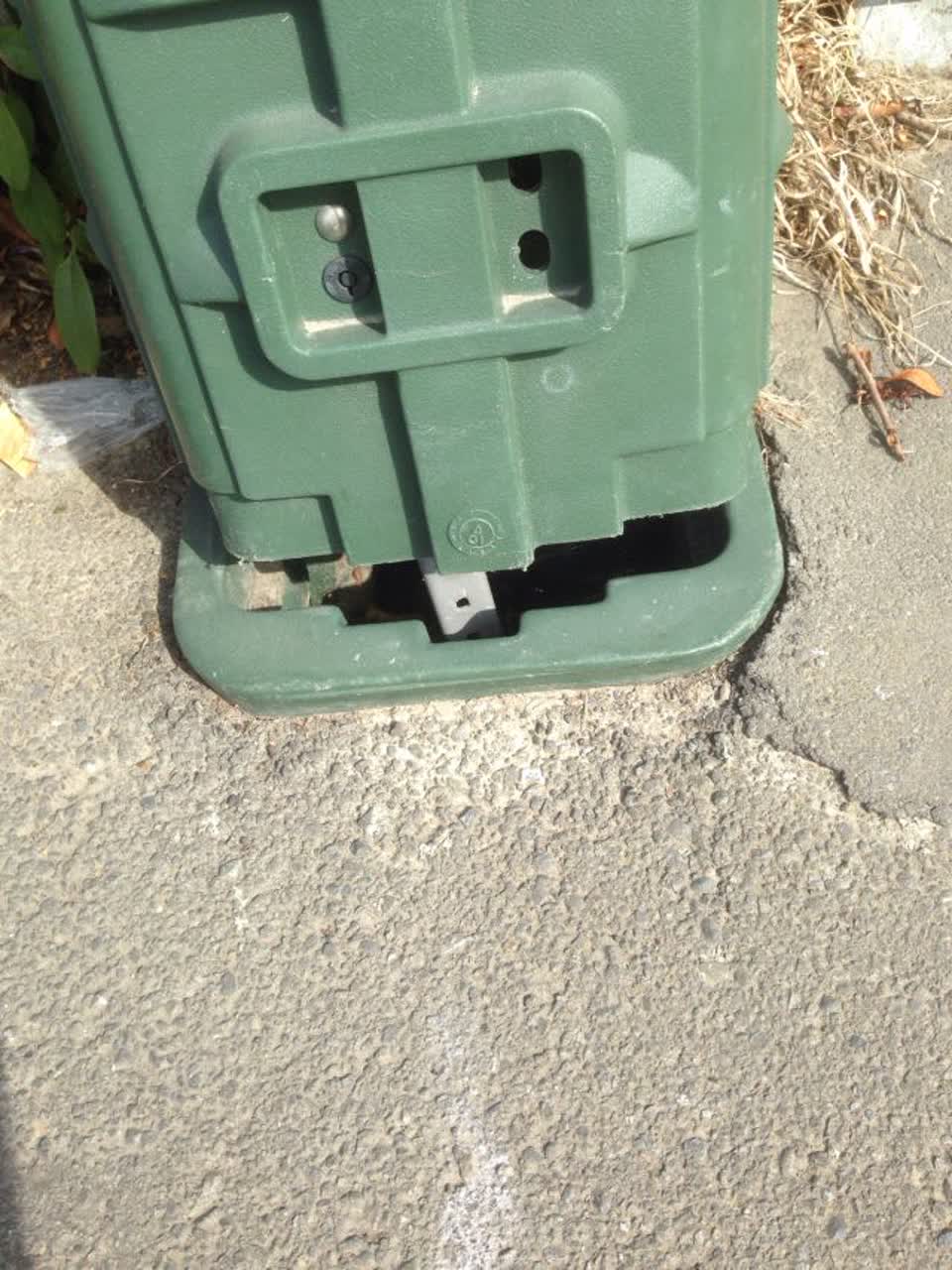 The photograph attached to this roading/streets report