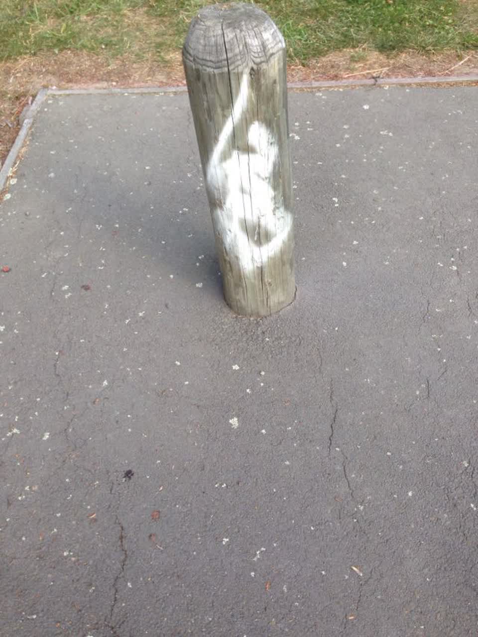The photograph attached to this graffiti report