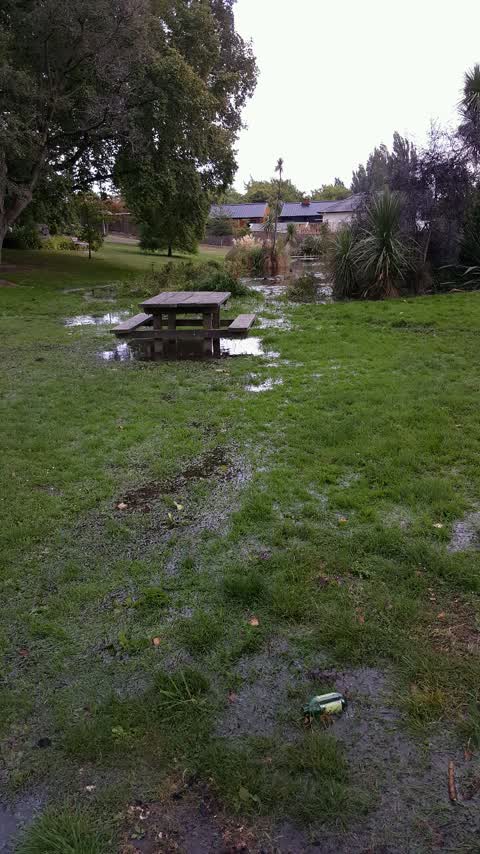 Parks, a report photo