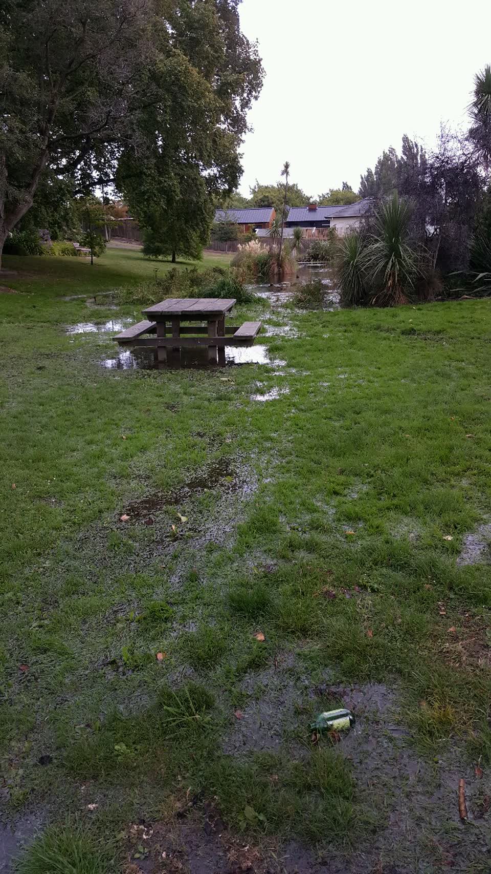The photograph attached to this parks report