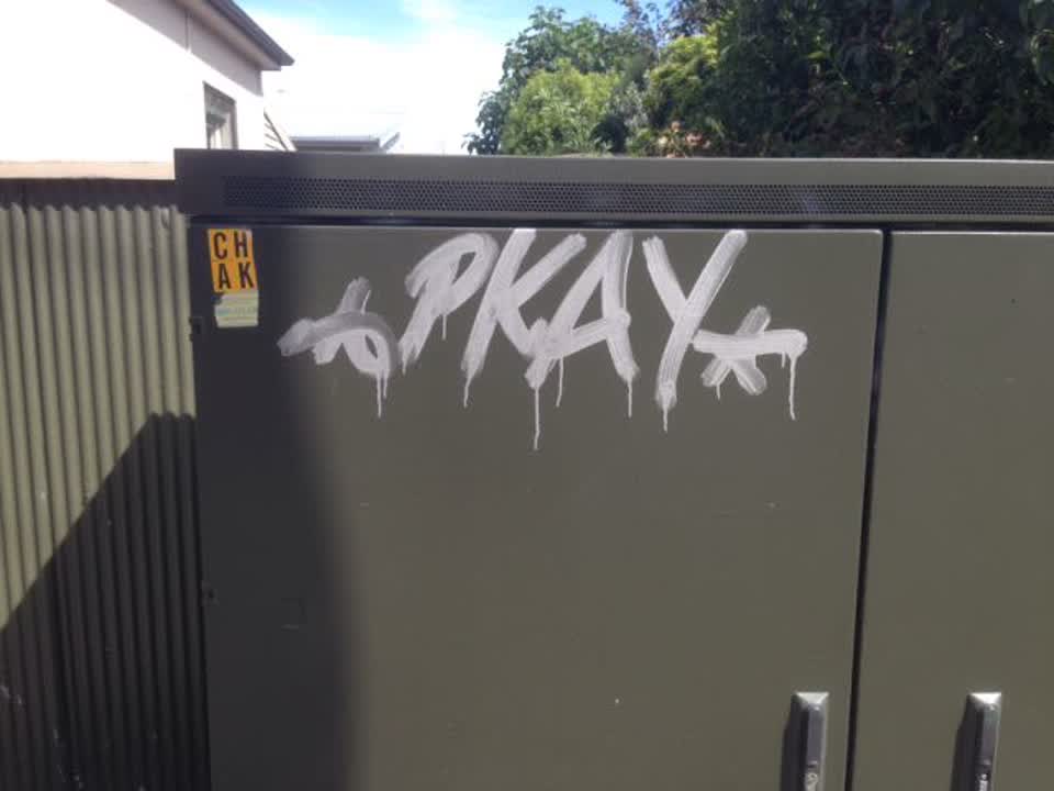 The photograph attached to this graffiti report