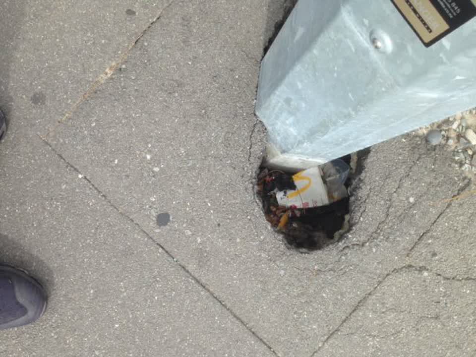 The photograph attached to this roading/streets report