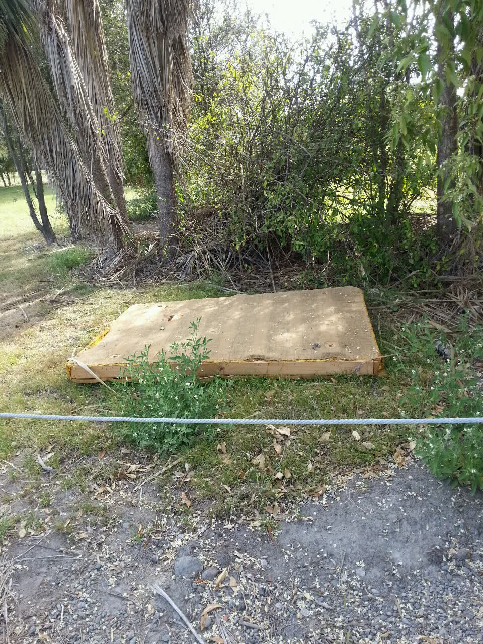 The photograph attached to this rubbish/recycling report