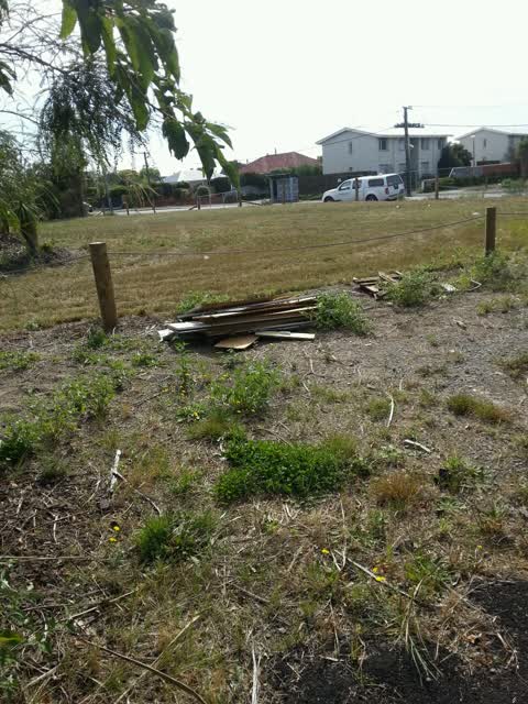 Rubbish/Recycling — a report photo