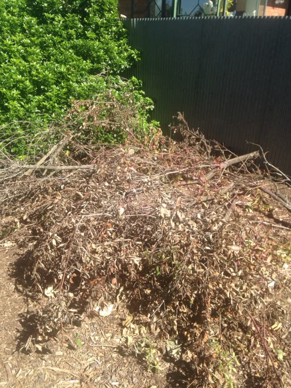 The photograph attached to this parks report