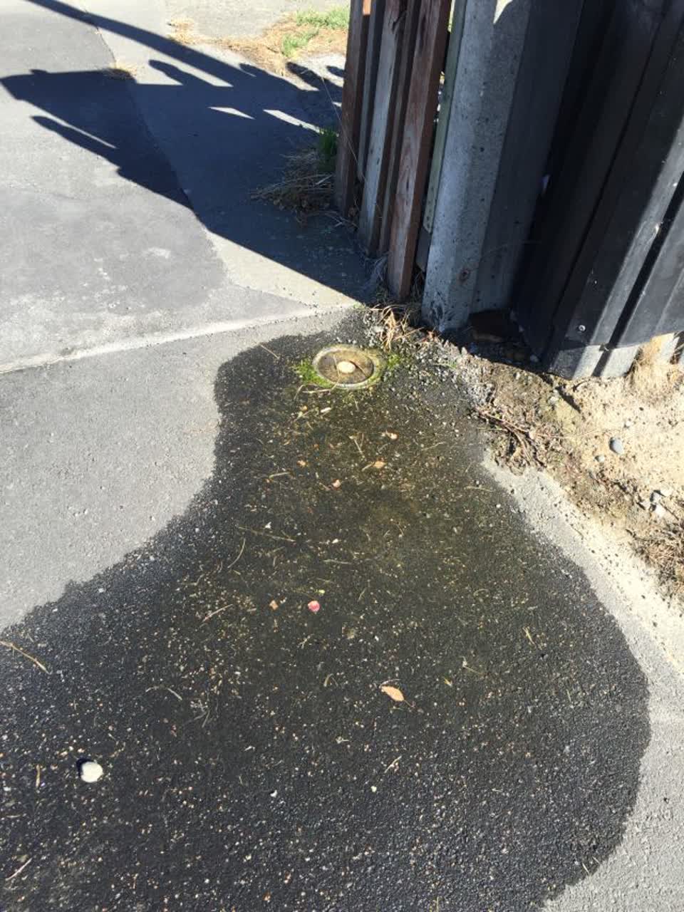 The photograph attached to this water supply report