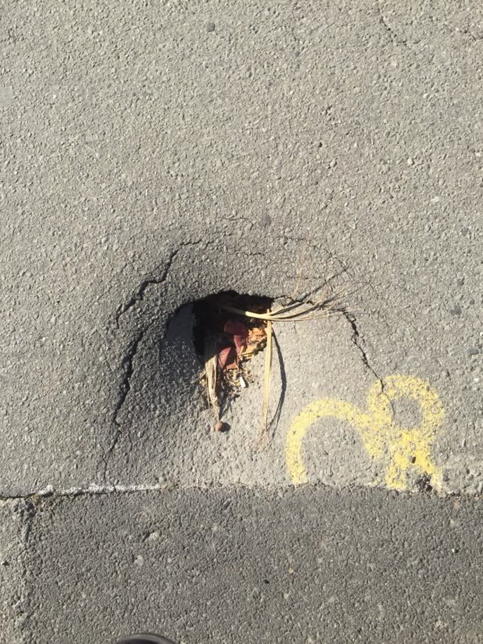 The photograph attached to this roading/streets report