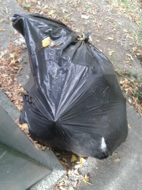 Rubbish/Recycling, a report photo