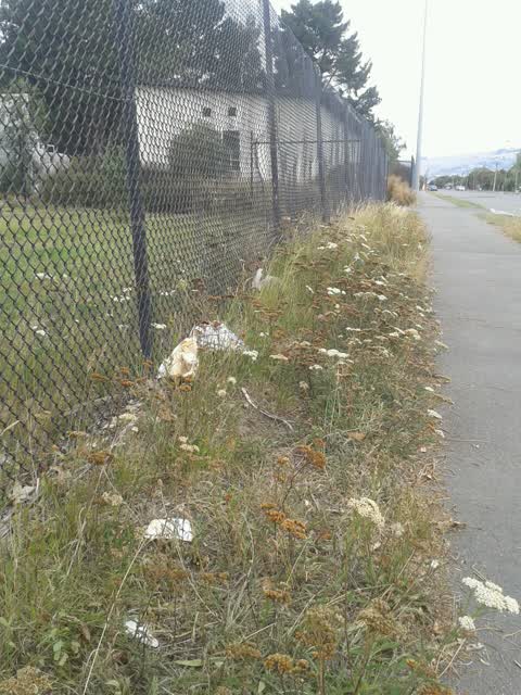 Parks, a report photo