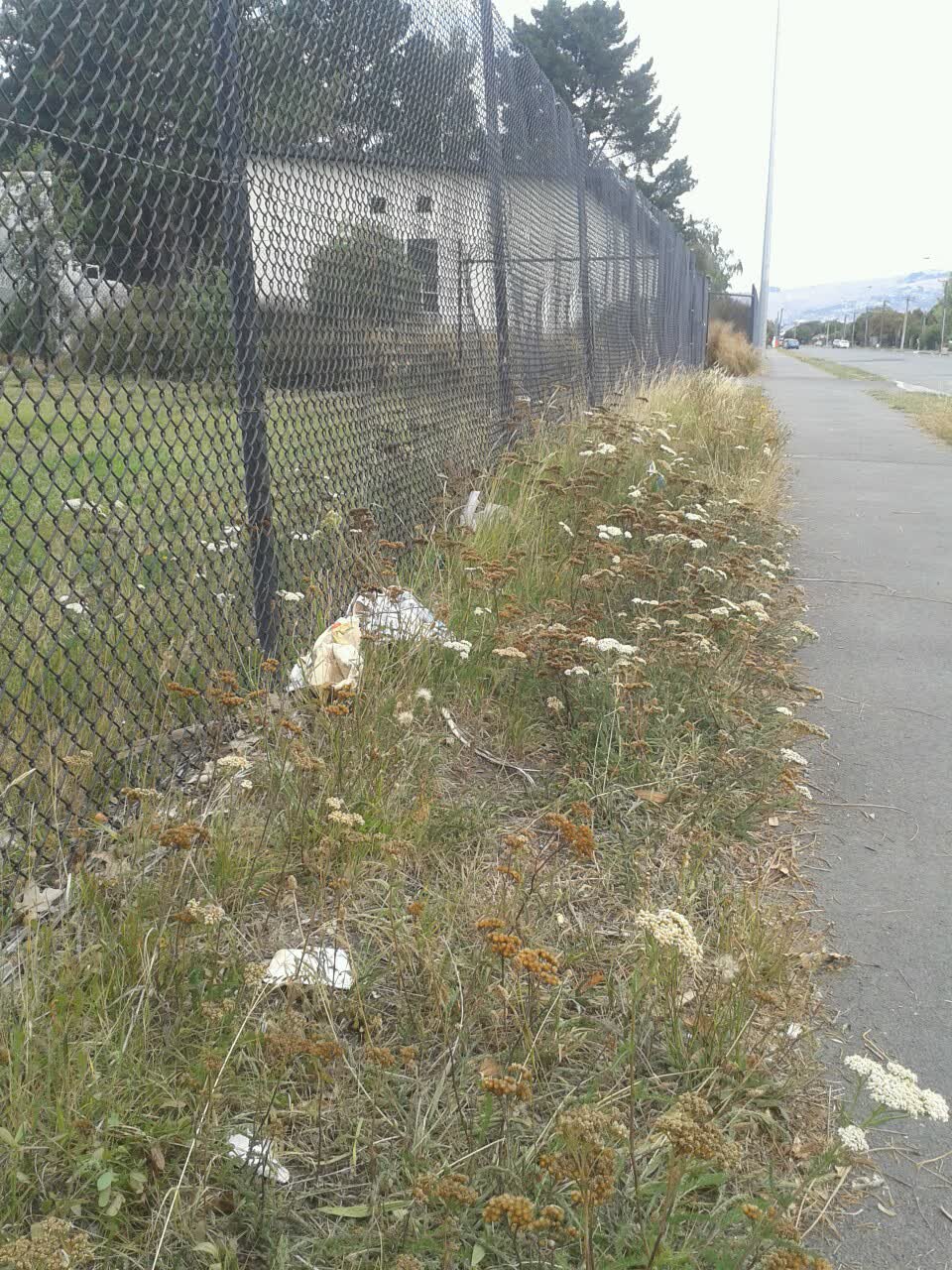 The photograph attached to this parks report