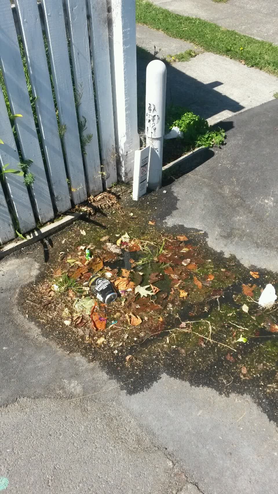 The photograph attached to this water supply report