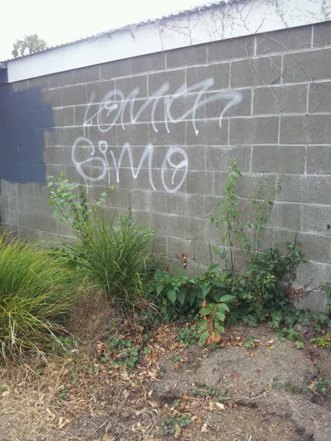 Graffiti, a report photo
