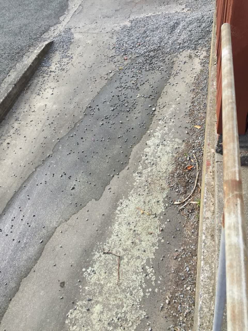 The photograph attached to this water supply report