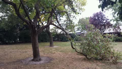 Parks, a report photo
