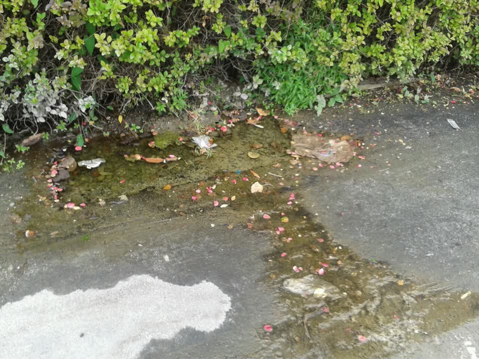 The photograph attached to this water supply report