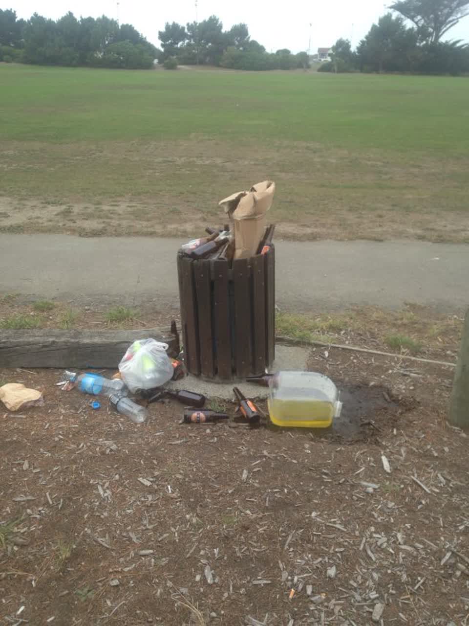 The photograph attached to this parks report