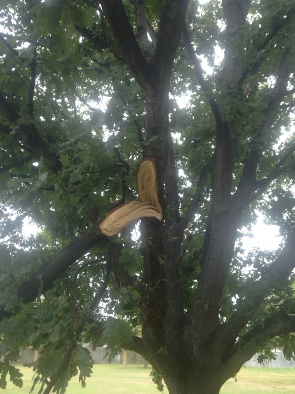 The photograph attached to this parks report
