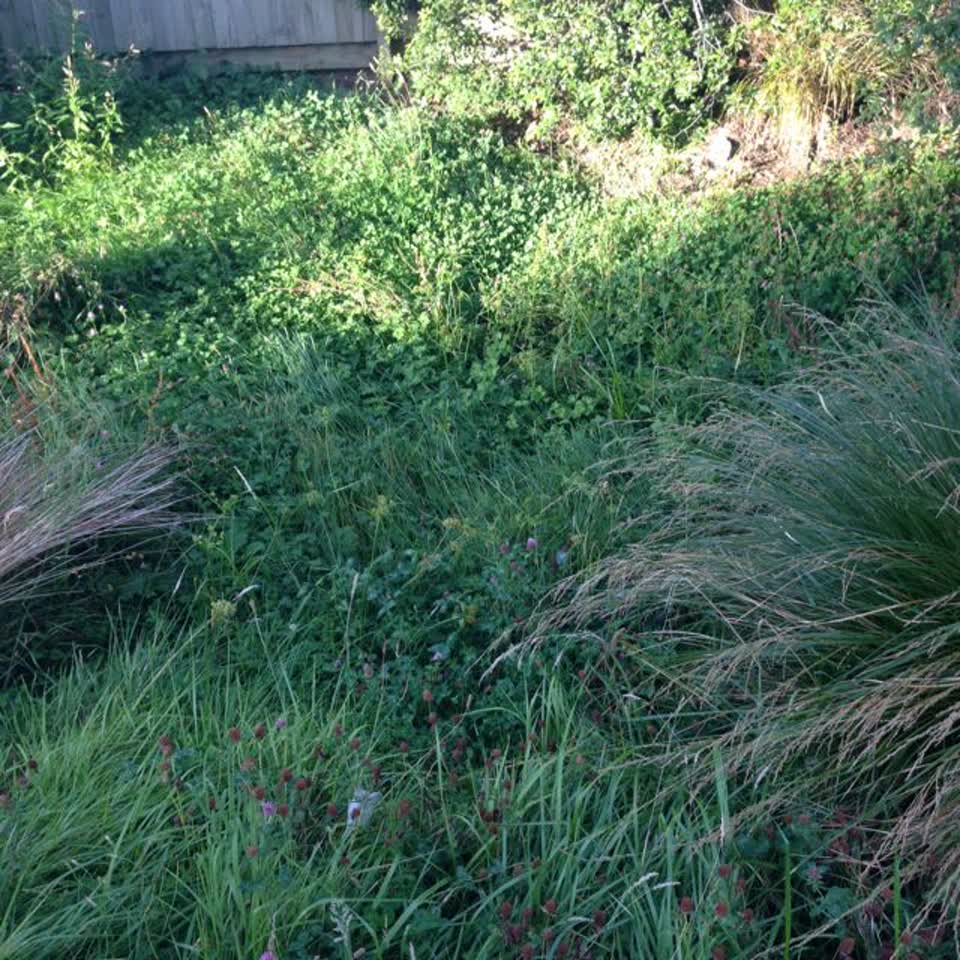 The photograph attached to this wastewater/stormwater report