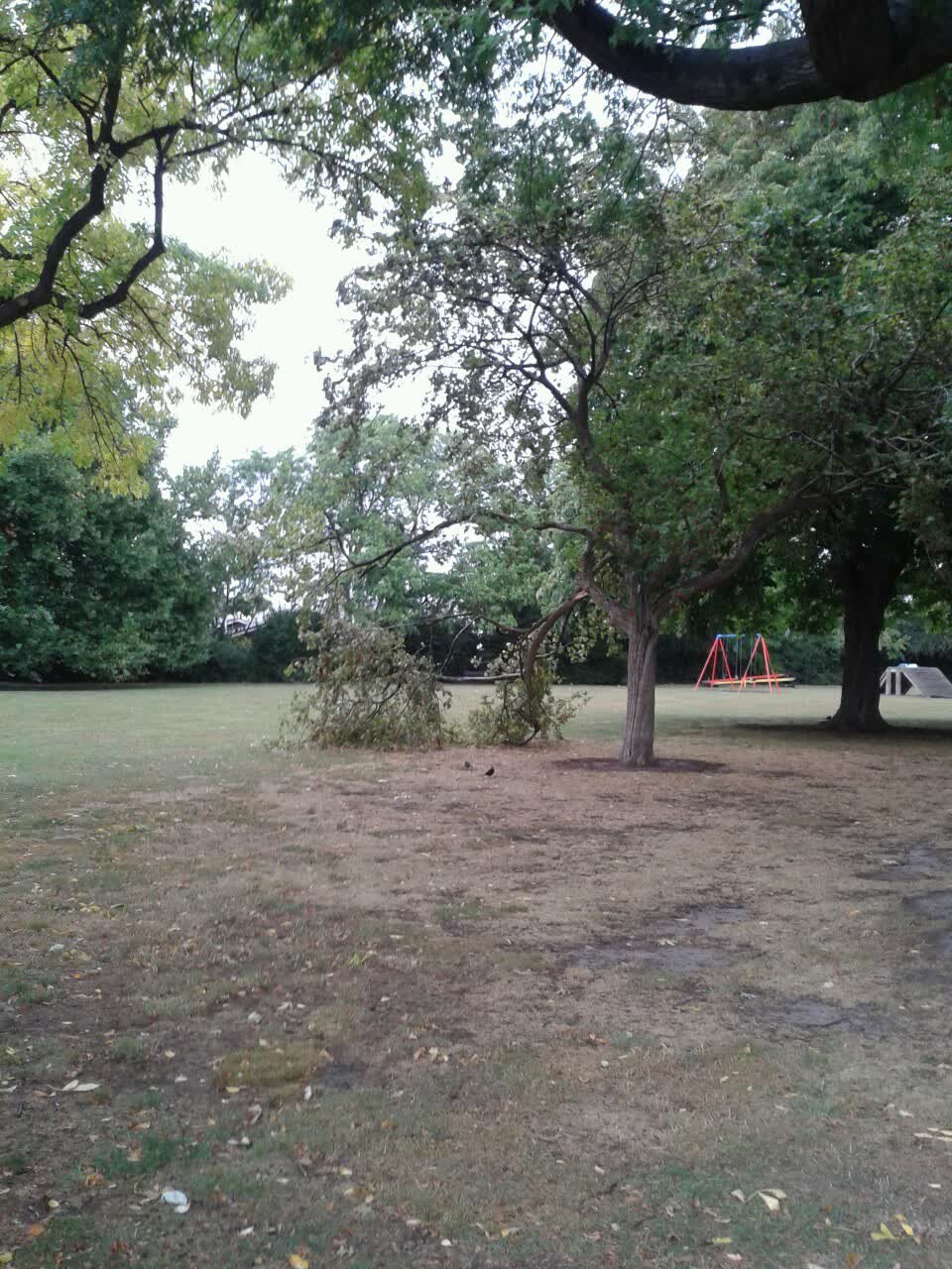 The photograph attached to this parks report