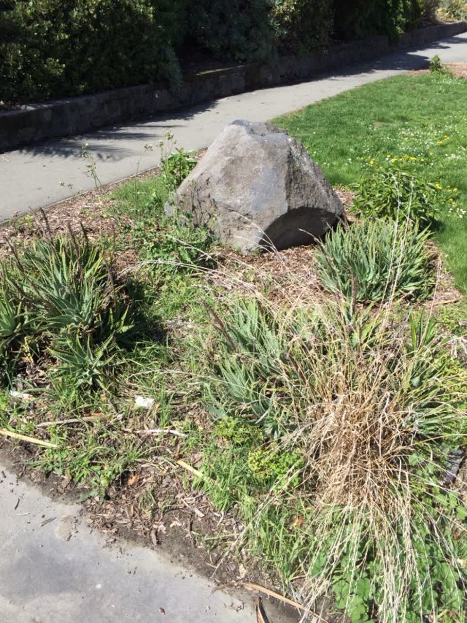 The photograph attached to this parks report