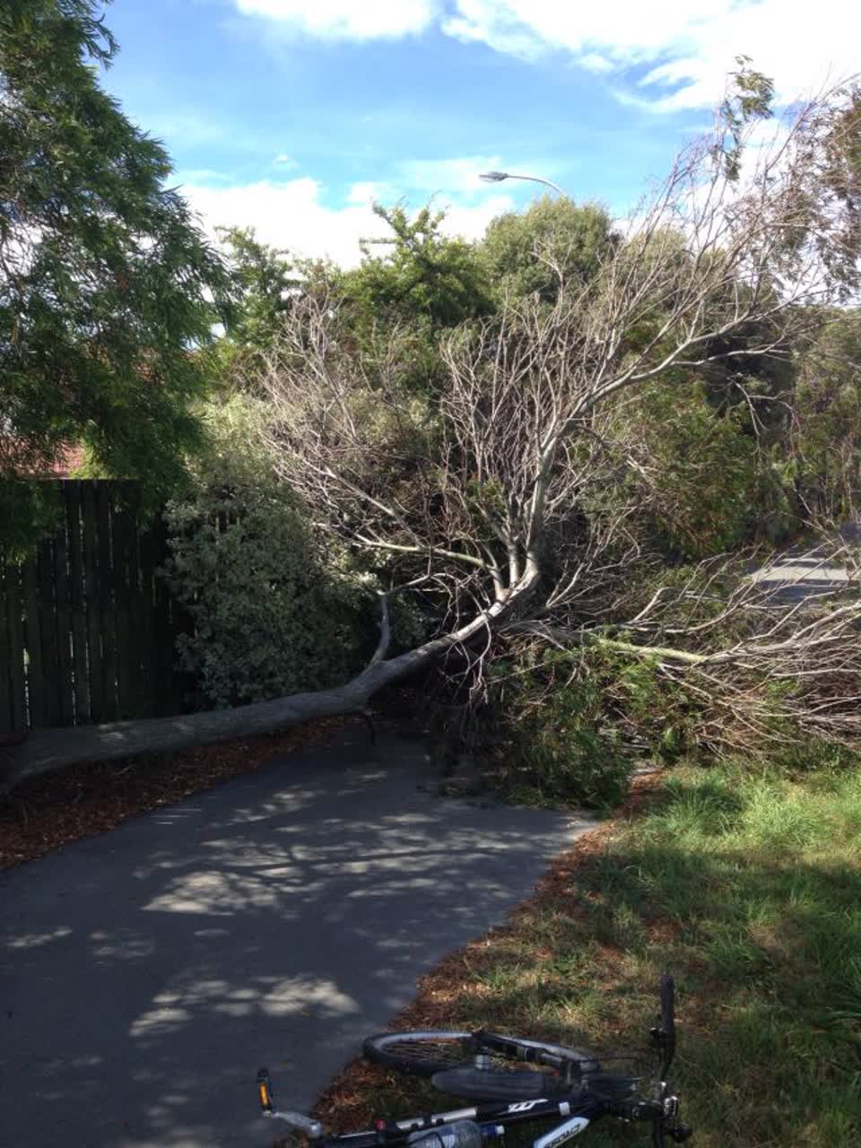 The photograph attached to this parks report