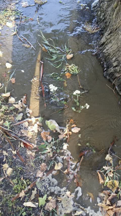 Parks, a report photo