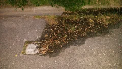 Water Supply, a report photo