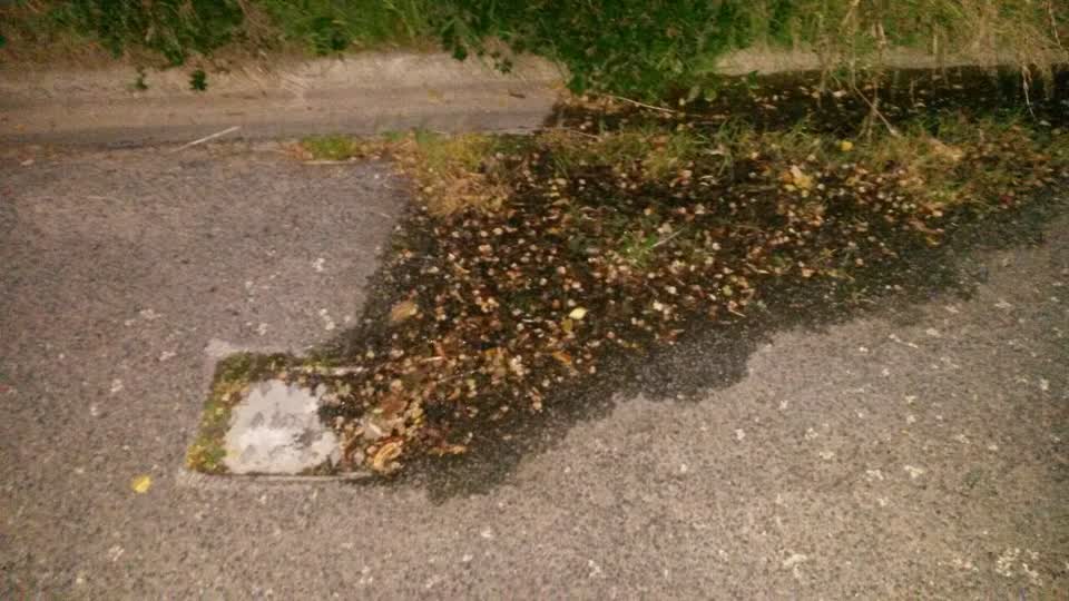 The photograph attached to this water supply report