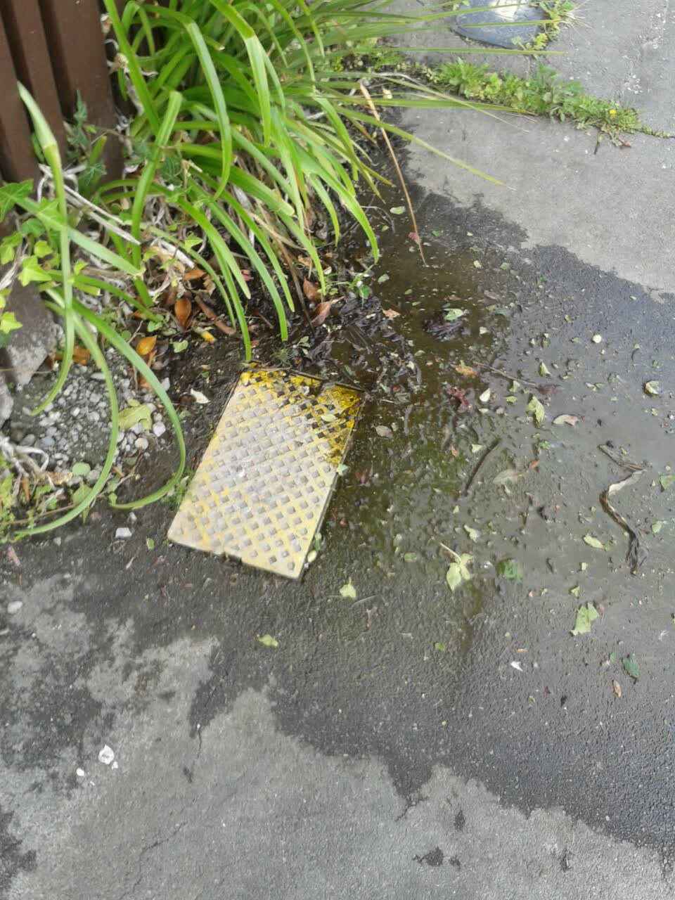 The photograph attached to this water supply report