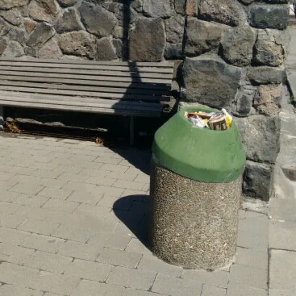 The photograph attached to this rubbish/recycling report