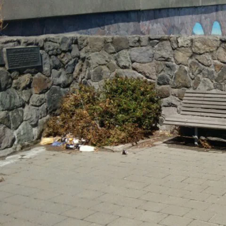 The photograph attached to this rubbish/recycling report