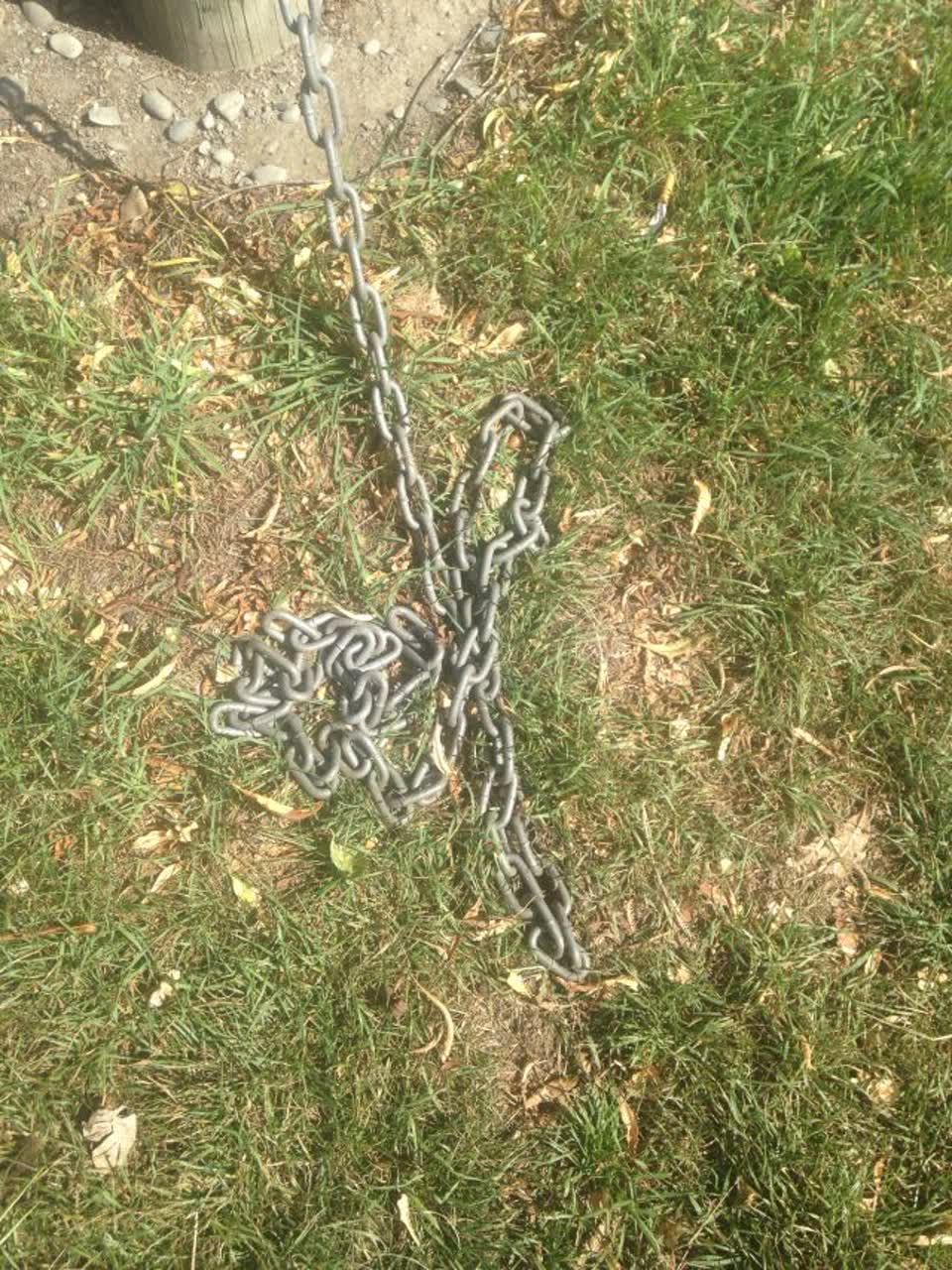 The photograph attached to this parks report