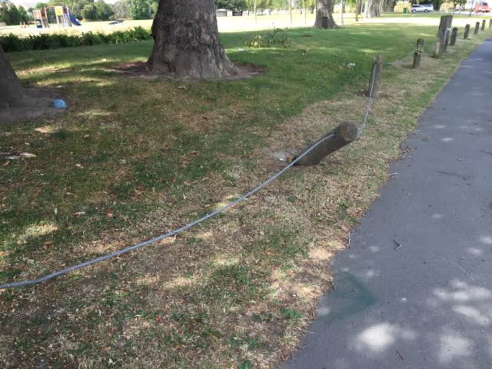 The photograph attached to this parks report