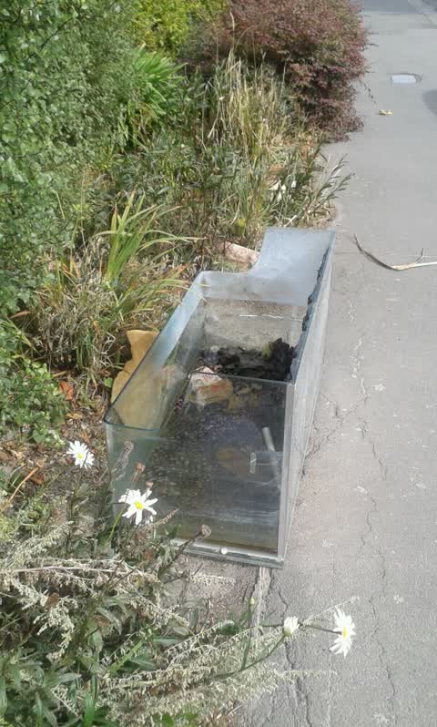 Rubbish/Recycling, a report photo