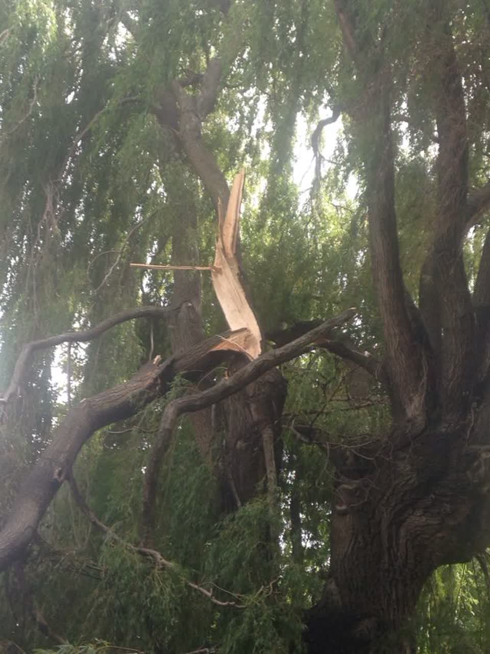 The photograph attached to this parks report