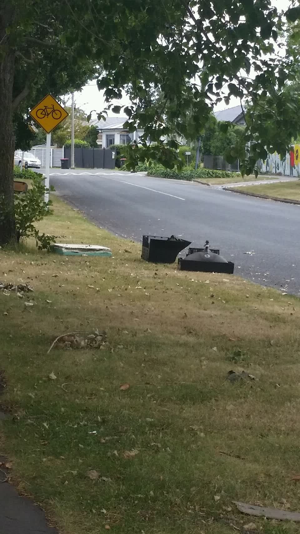 The photograph attached to this rubbish/recycling report