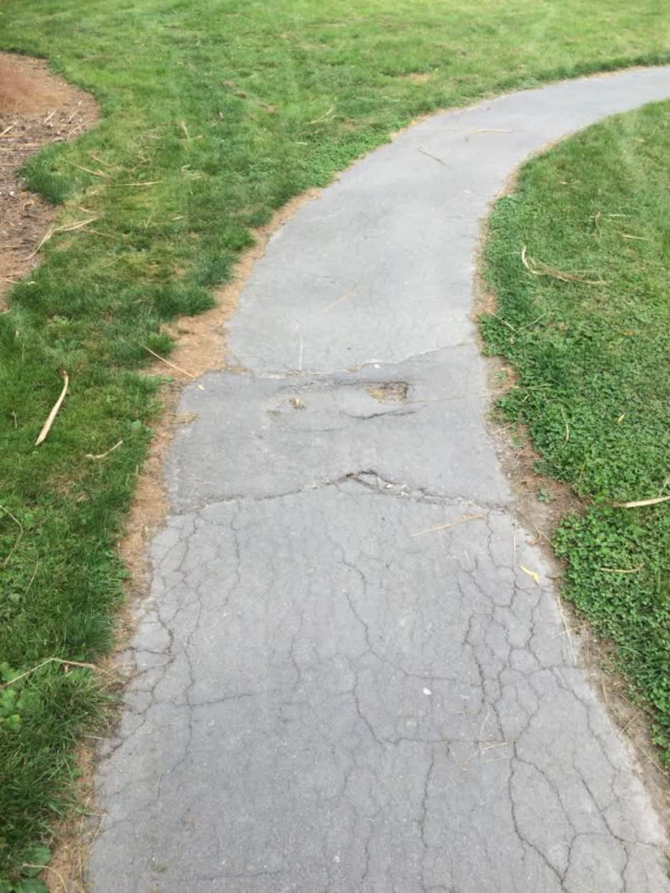 The photograph attached to this parks report