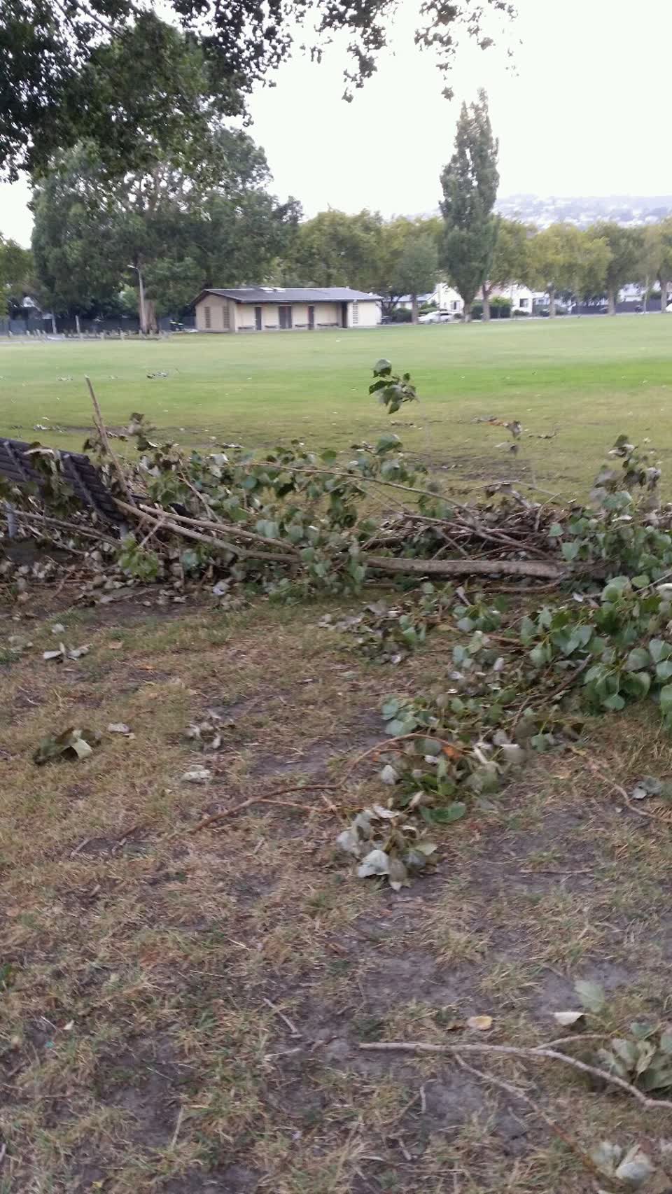 The photograph attached to this parks report