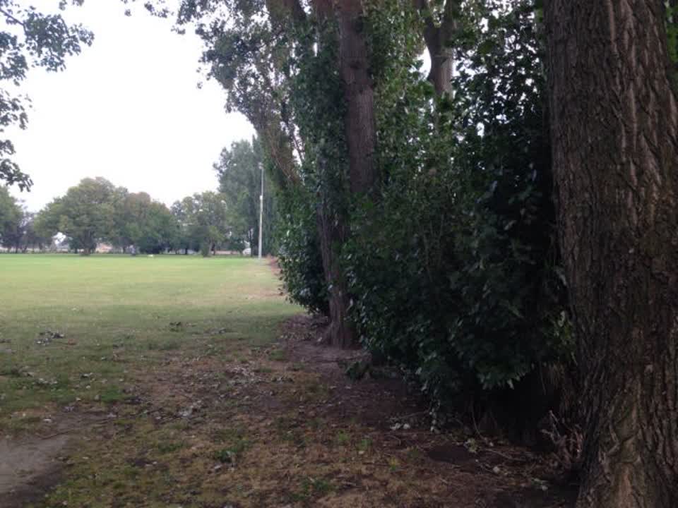 The photograph attached to this parks report