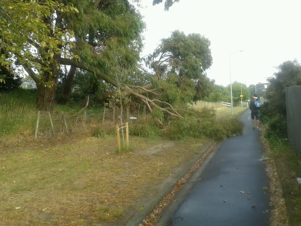 The photograph attached to this roading/streets report