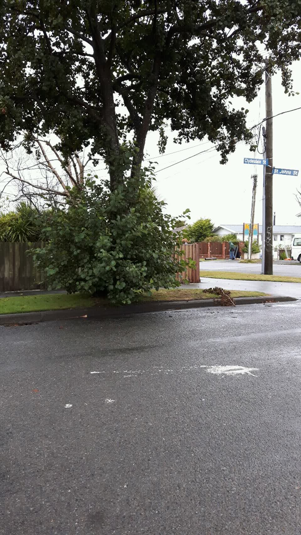The photograph attached to this roading/streets report