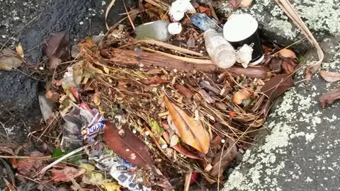 Roading/Streets, a report photo
